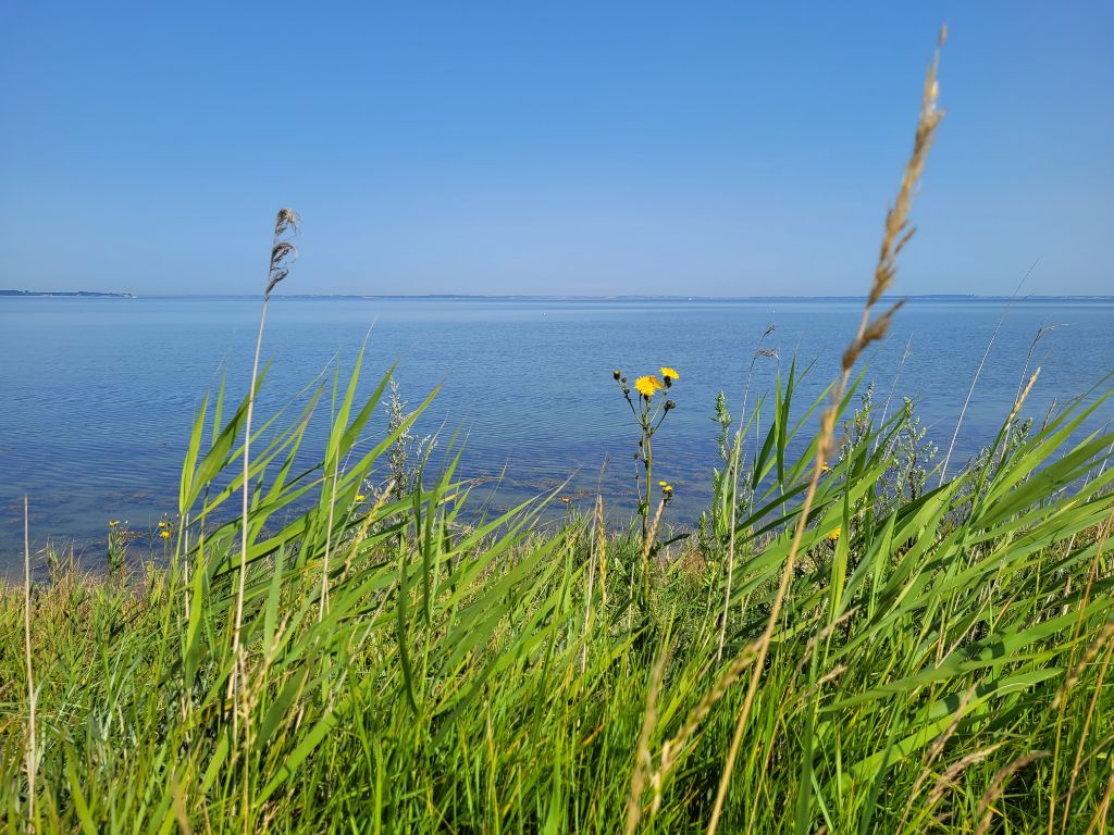 Meer